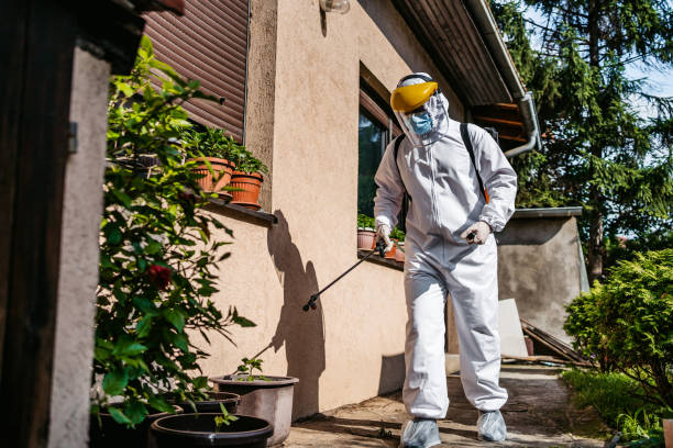 Best Insect Control  in Carrizo Hill, TX