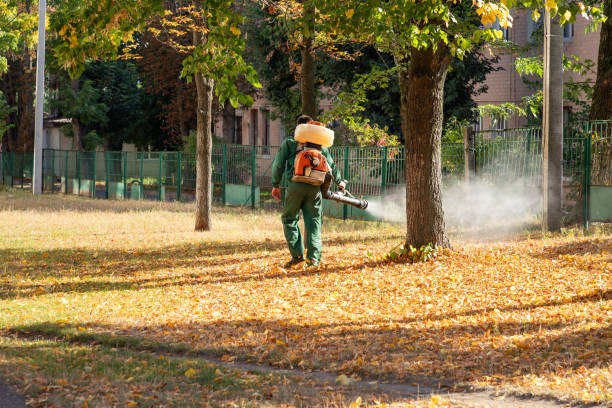 Best Termite Control Services  in Carrizo Hill, TX