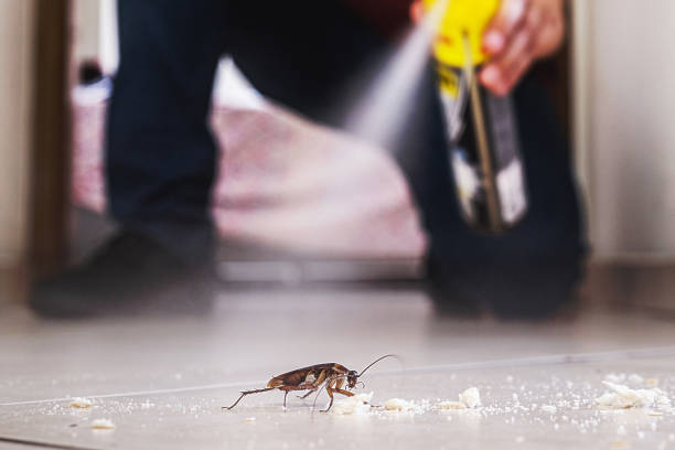 Best Residential Pest Control  in Carrizo Hill, TX