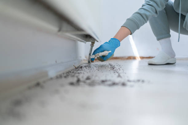 Best Exterminator Services  in Carrizo Hill, TX